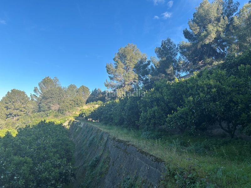 Foto c35a4fe3-f395-474c-9fdf-0e05c46acd2d. Masia a Oliva pueblo Oliva