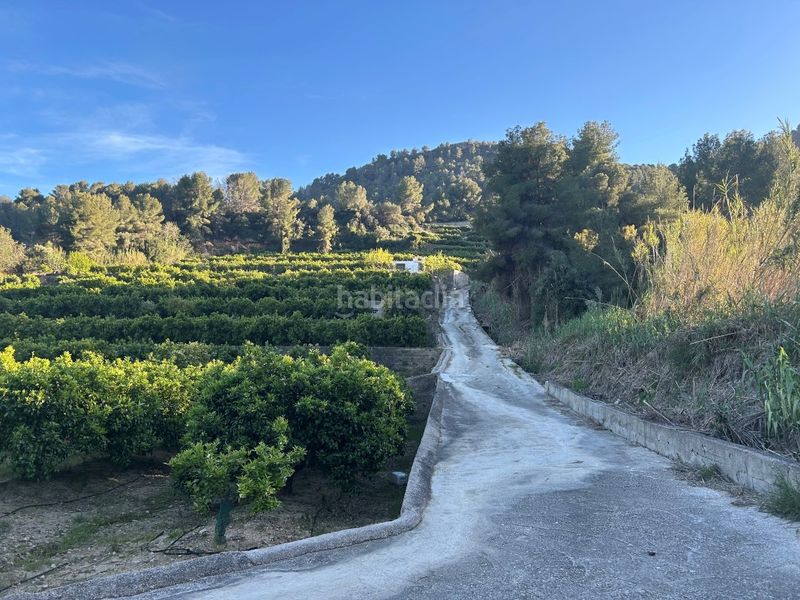 Foto cec4ab68-28e2-49af-8dd6-df3bb249c9c2. Masia a Oliva pueblo Oliva