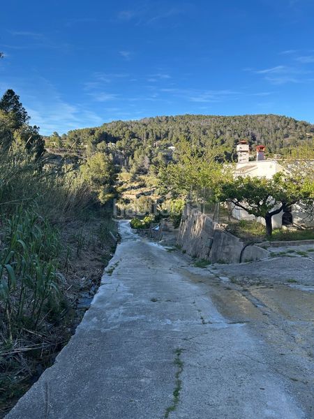 Foto d702a903-0e15-4e38-b59c-8564910a2643. Masia a Oliva pueblo Oliva