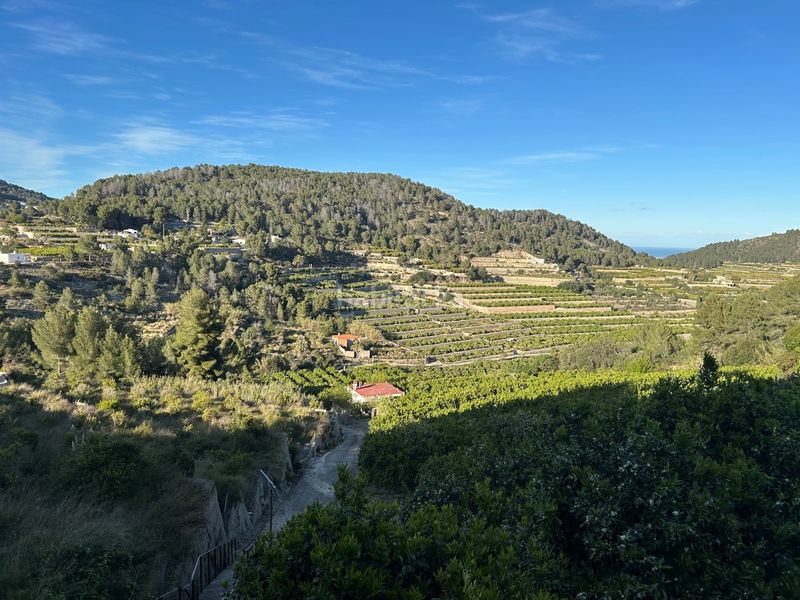 Foto d9a2e356-c202-48c8-9619-70ccf82cc616. Masia a Oliva pueblo Oliva