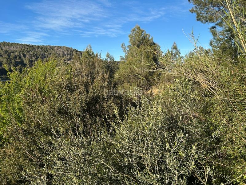 Foto d9e543d8-91ef-4ec0-8b6b-0c6983da1948. Masia a Oliva pueblo Oliva