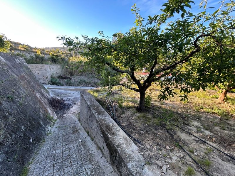 Foto e66b0072-420d-4c07-a0ac-f027f00dded0. Masia a Oliva pueblo Oliva