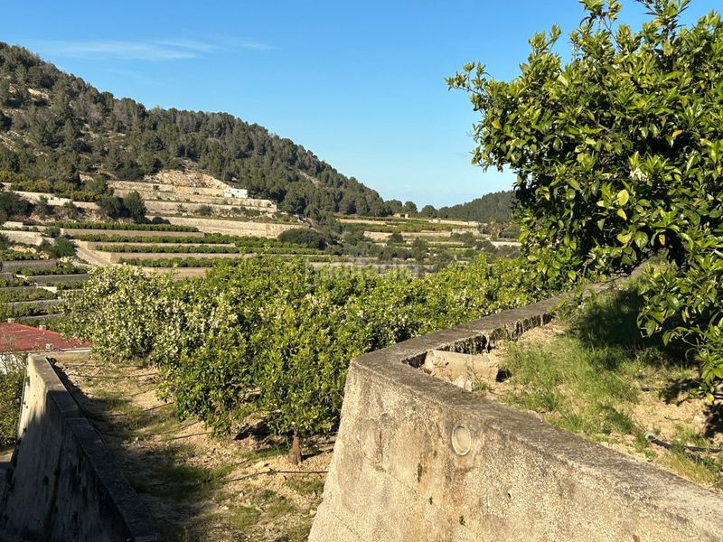 Foto f00ddfbf-4c37-4ad6-8bbc-c91e4fe7ad7a. Masia a Oliva pueblo Oliva