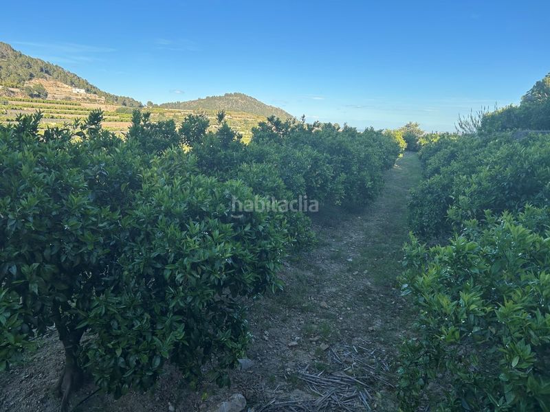 Foto f82b9e4c-92ce-4cb9-aadc-123f95f68847. Masia a Oliva pueblo Oliva