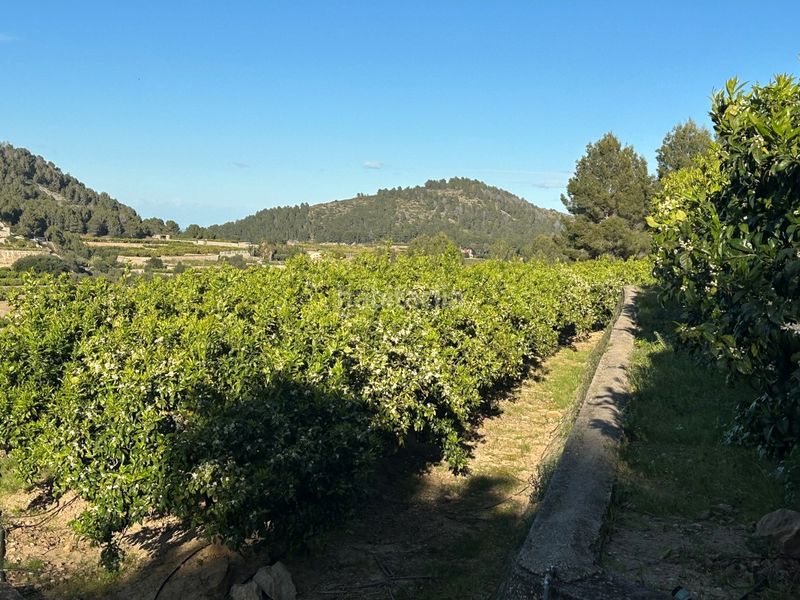 Foto fbf23ca3-be73-4451-a987-80168c6edcf7. Masia a Oliva pueblo Oliva