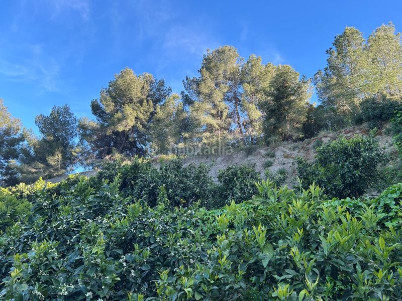 Foto ff0d199b-c47c-4588-a0f2-bf0c4354773d. Masia a Oliva pueblo Oliva