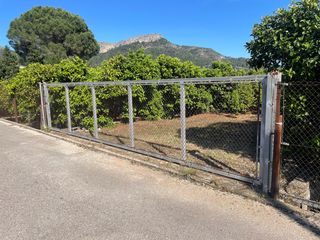 Rural plot in Partida bases 254
