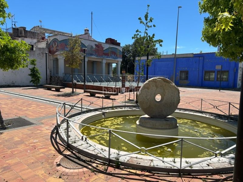 Foto d87a9953-b685-4ee3-b6a4-e2dcbbff236d. Pis a Beniarjó