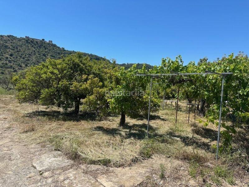 Foto 2fff03ca-b848-4ab4-8ec8-f4364543bd70. Finca rústica a Font d´en Carròs (la)