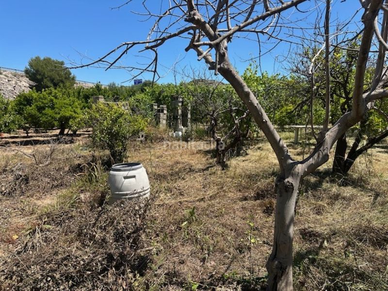 Foto af9d5dde-2ef4-4905-b018-854e923352b8. Finca rústica a Font d´en Carròs (la)