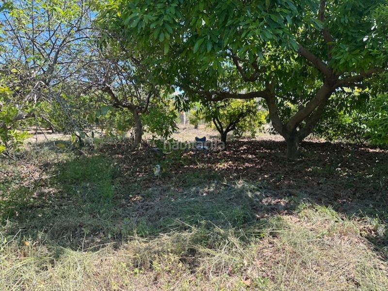 Foto c26ef004-7927-4730-9f31-1a62236c4ec1. Finca rústica a Font d´en Carròs (la)