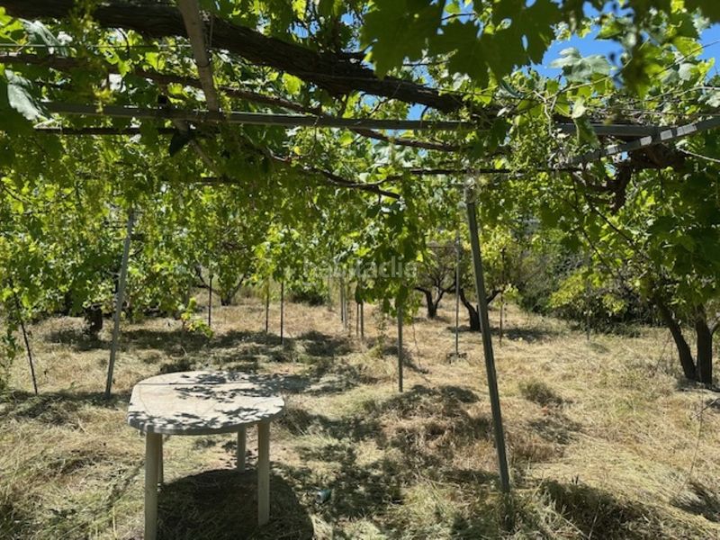 Foto d4520f9b-a367-4d34-8ed3-26d763072c25. Finca rústica a Font d´en Carròs (la)