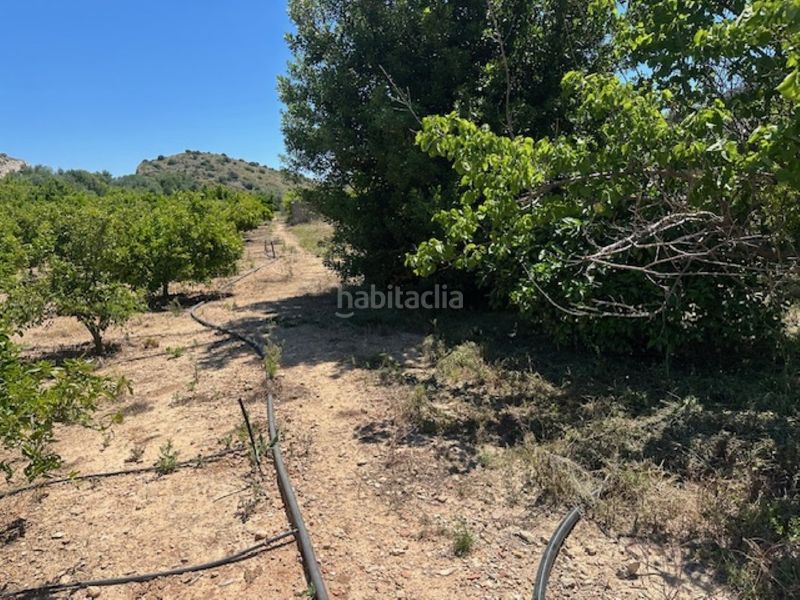 Foto dc079f87-84f7-4ddb-97e4-d7ab250d9fa4. Finca rústica a Font d´en Carròs (la)