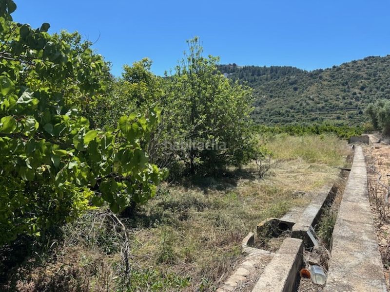 Foto ed871494-d775-422f-8b81-059f396a6d4a. Finca rústica a Font d´en Carròs (la)