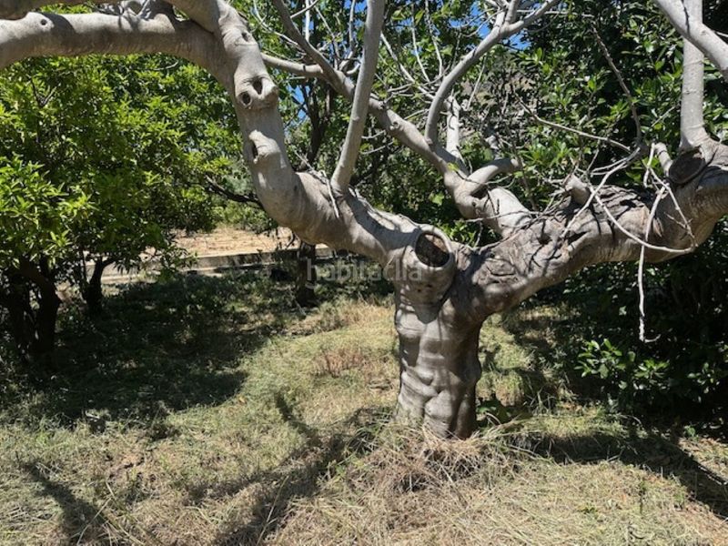 Foto f519fb8b-41c7-4a5e-a040-cadaed3700f5. Finca rústica a Font d´en Carròs (la)