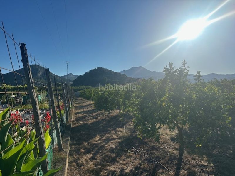 Foto 0ac67407-80fe-4020-b91b-4de83d11fa9e. Finca rústica a n/a a Xeresa