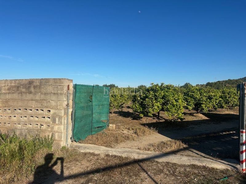 Foto 5d12a238-5629-4cbd-a727-2a0b7246f729. Finca rústica a n/a a Xeresa
