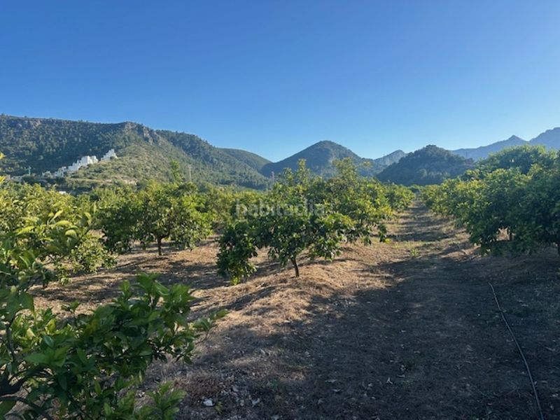 Foto 847a7d2d-ed30-4a42-a84e-558359287ca4. Finca rústica a n/a a Xeresa