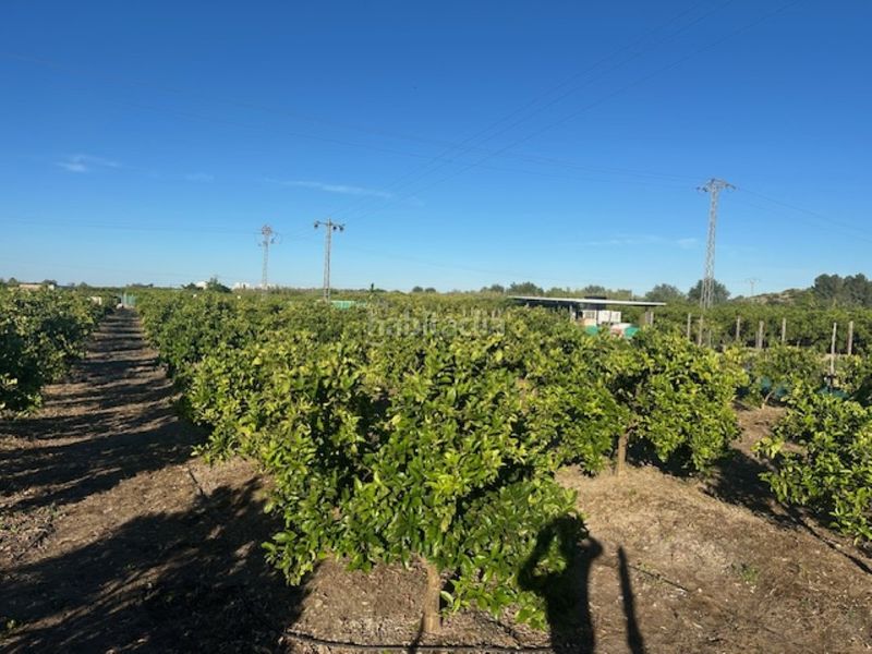 Foto 8c5a9404-acb9-45c4-996d-56e0e3f6a0f0. Finca rústica a n/a a Xeresa