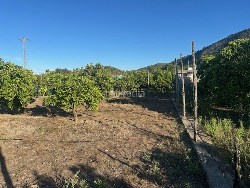 Foto 9e5f7a2b-6345-4b7a-ba08-619eac8cdaf7. Finca rústica a n/a a Xeresa