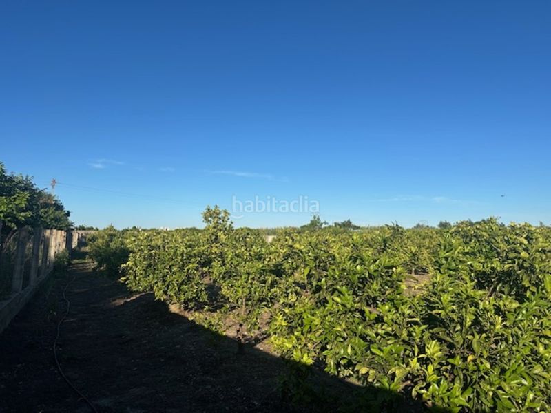 Foto be186152-8cf0-4e91-aa2e-bd1caf927a45. Finca rústica a n/a a Xeresa