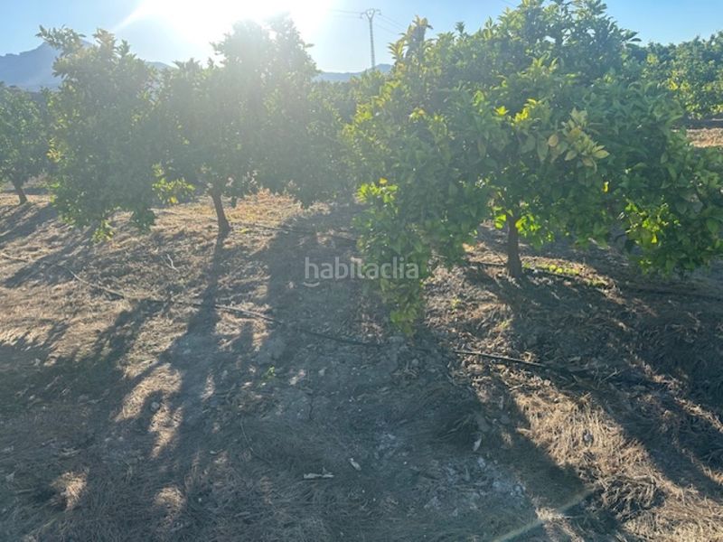 Foto cc1c3356-aecd-474f-a68a-4d004666285f. Finca rústica a n/a a Xeresa