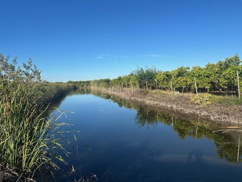 Foto d6c893fe-29f4-43e8-b58f-3366f986f0e0. Finca rústica a n/a a Xeresa