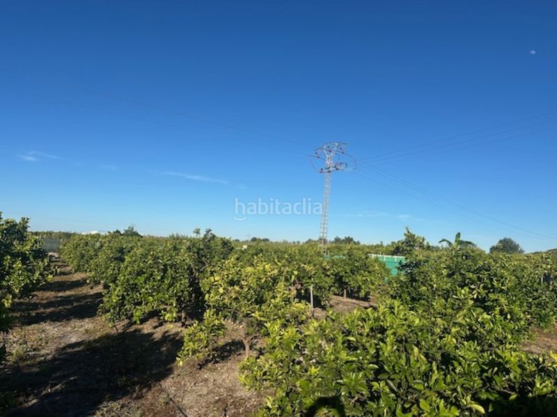 Foto e124cc64-4b22-4a2d-859d-d11122c22848. Finca rústica a n/a a Xeresa