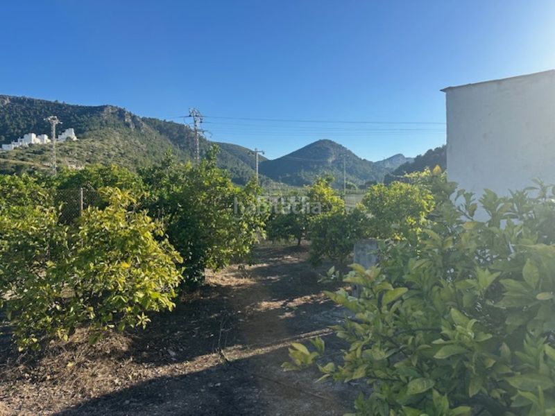 Foto e50afca9-29a2-417e-ab20-8076157d4d53. Finca rústica a n/a a Xeresa