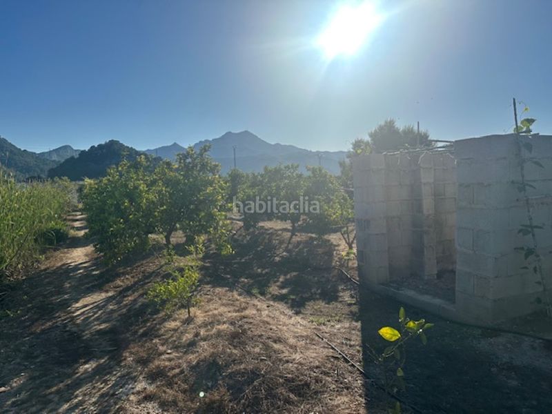Foto f0d8ef6d-2fd1-4f3b-a8b8-ea1f7e355378. Finca rústica a n/a a Xeresa