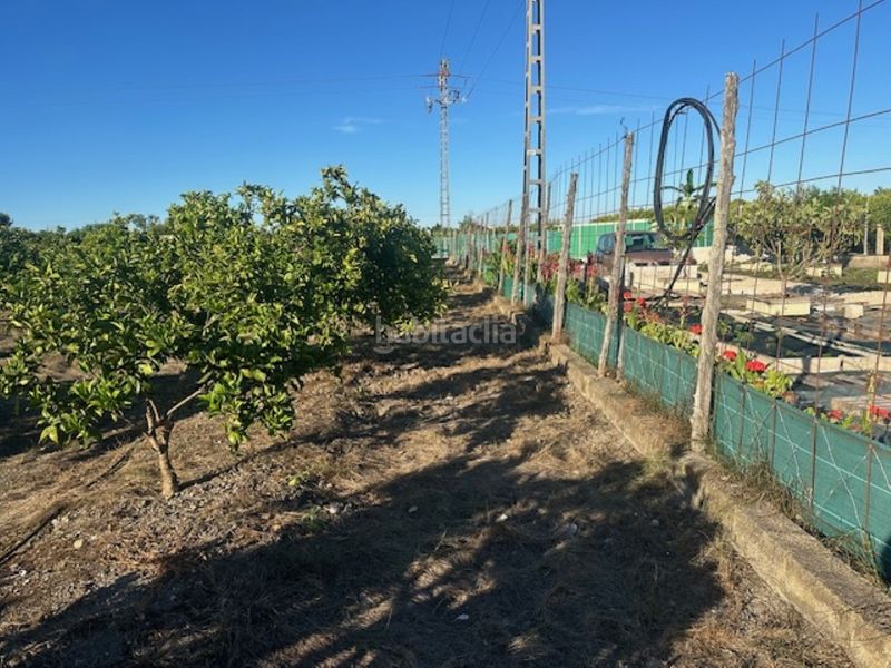 Foto f7a66874-8c7f-4e9b-b7e9-1ec7b48d6577. Finca rústica a n/a a Xeresa