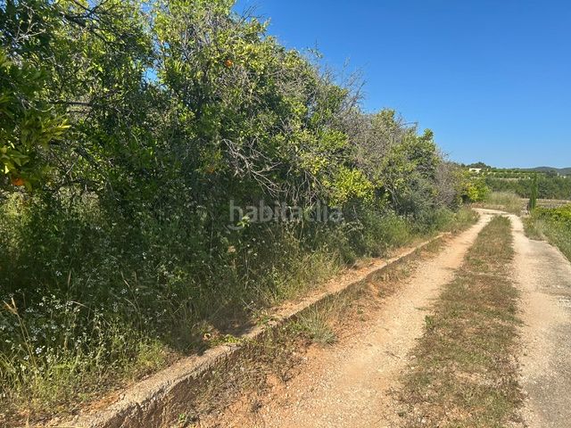 Foto 5c9a6ef9-e9cd-4e0e-8831-b25ff374d0ef. Finca rústica a Vilallonga / Villalonga