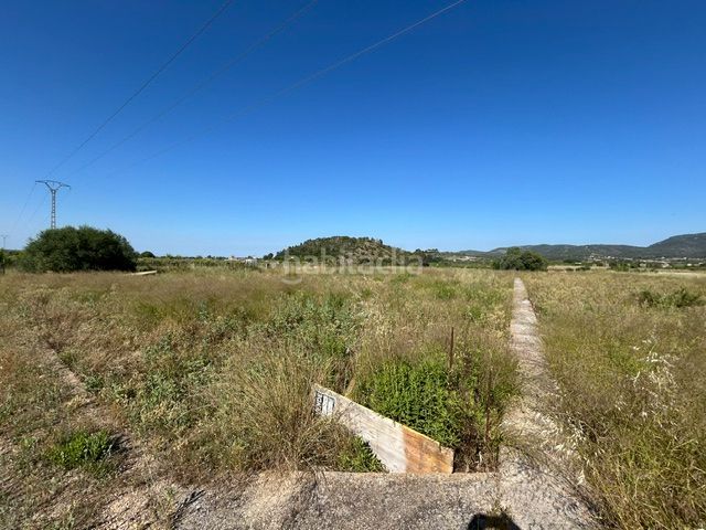Foto 0191748d-91ad-4973-be3c-556e456b028d. Finca rústica a Vilallonga / Villalonga