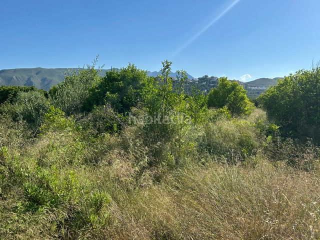 Foto 1ffcd388-62ee-40da-ad82-a9f802a464e5. Finca rústica a Vilallonga / Villalonga