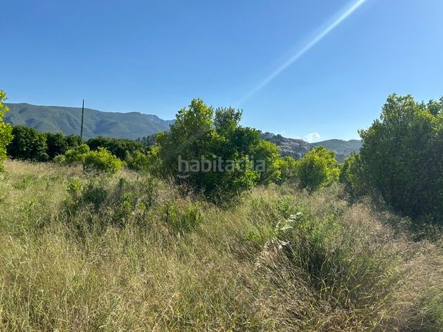 Foto 4c4bd657-9ce3-4229-8e11-40e64c44a739. Finca rústica a Vilallonga / Villalonga