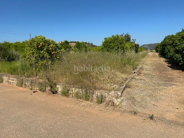 Foto be3e3bd8-a449-4e76-98a2-e22928244ac5. Finca rústica a Vilallonga / Villalonga