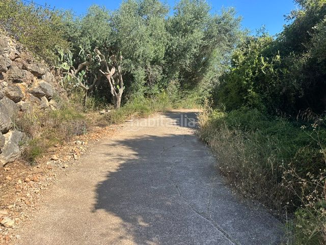 Foto 2a416646-5288-49d7-b04d-7c7196b85f26. Finca rústica a Palma de Gandía