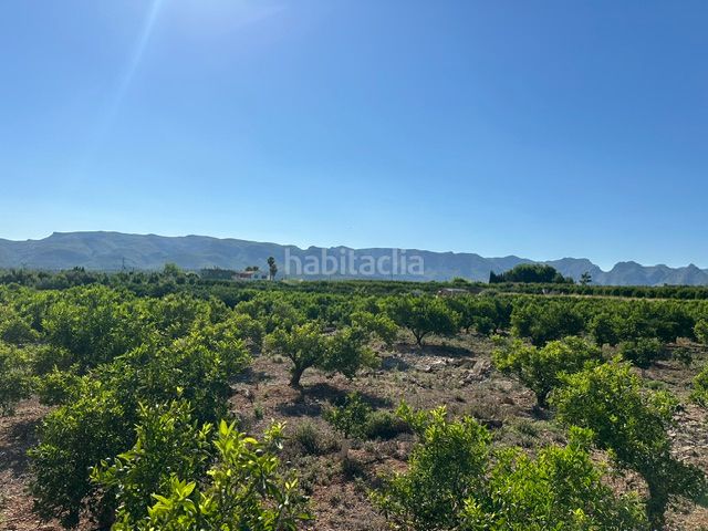 Foto 4036e038-5b79-45d5-8b1c-0906d5810306. Finca rústica a Palma de Gandía