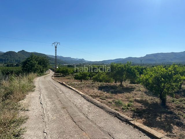 Foto 4ff5568a-49fe-421c-94e4-8813c39b1a10. Finca rústica a Palma de Gandía