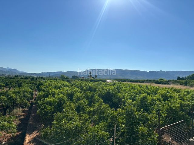 Foto 511a44a0-c90e-415b-aca3-d9e2aa068e98. Finca rústica a Palma de Gandía