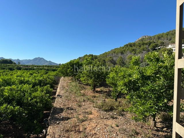 Foto 5c16c176-9d64-4a4e-9aca-27f7818e4e16. Finca rústica a Palma de Gandía
