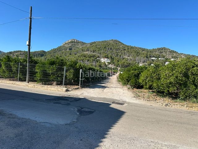Foto 7ba7ad4f-d856-41e2-9f59-6558ea78a94d. Finca rústica a Palma de Gandía