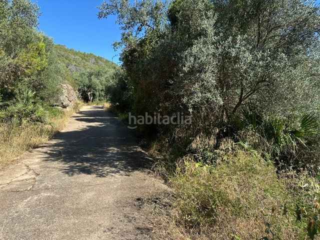 Foto a7c40578-a1c9-431e-96a1-85b1023e253d. Finca rústica a Palma de Gandía