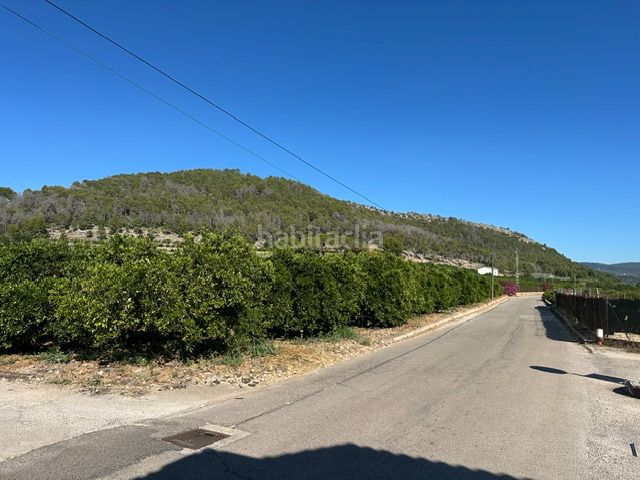 Foto ac5bba34-a0c6-4582-b12a-c2a80e57592f. Finca rústica a Palma de Gandía