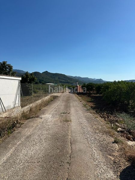 Foto b084c953-ca47-4d11-9b0f-b6a2488d01e5. Finca rústica a Palma de Gandía