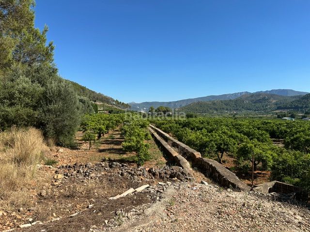 Foto b8b6b40d-6eff-40f6-aa44-9f299c48b3b7. Finca rústica a Palma de Gandía