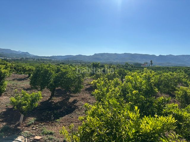 Foto c5f823b6-54aa-427b-9f34-38a695a90295. Finca rústica a Palma de Gandía