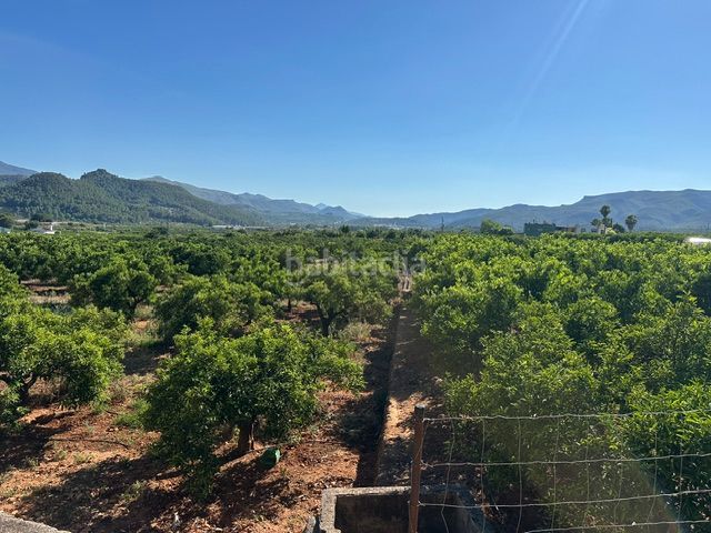 Foto cbaa872d-b25d-45d5-abe0-132ad7eee6e0. Finca rústica a Palma de Gandía