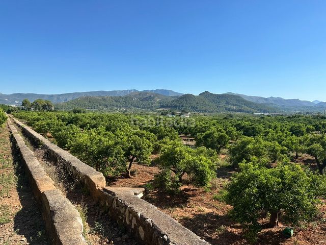 Foto d3c8a711-f851-4869-a16b-cb90e914e89f. Finca rústica a Palma de Gandía