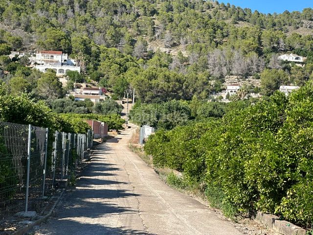 Foto f0cae752-fd14-4f27-9583-9a3e3a27c914. Finca rústica a Palma de Gandía